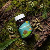 Valerian root capsules